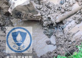 渝水区水管漏水检测公司5